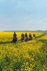 Balades à cheval Lorraine