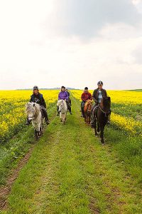 Ausritte, Reiterferien, Tagesritt