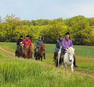 Ausritte, Reiterferien, Tagesritt