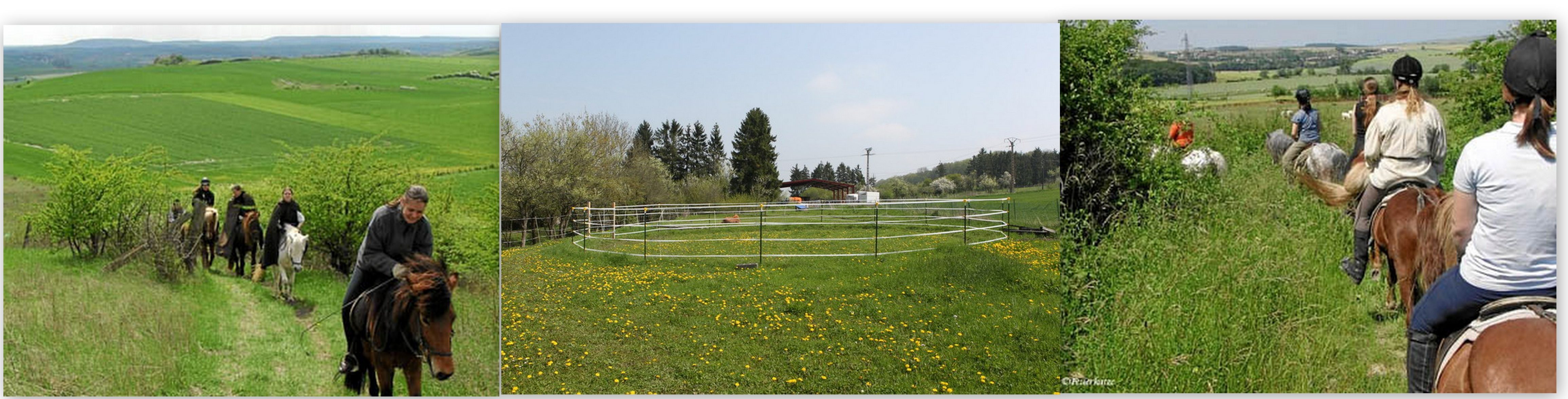 Angebot: Reiterferien, Ausritte, Urlaub mit dem eigenen Pferd