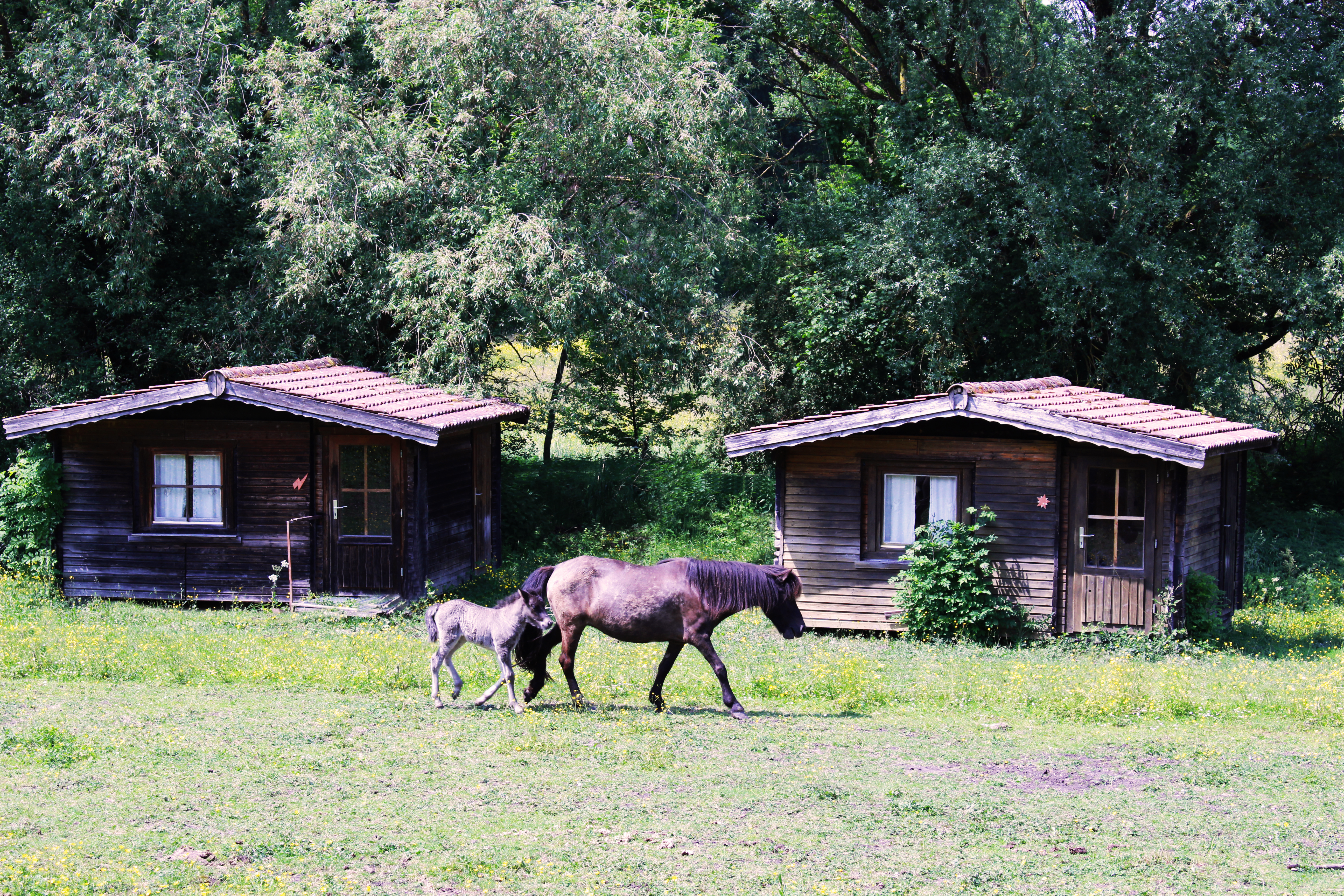 Übernachtung Haras de la Nied