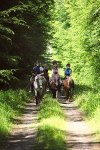 Wanderreitstation Lothringen
