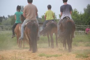 Reiterferien Lothringen